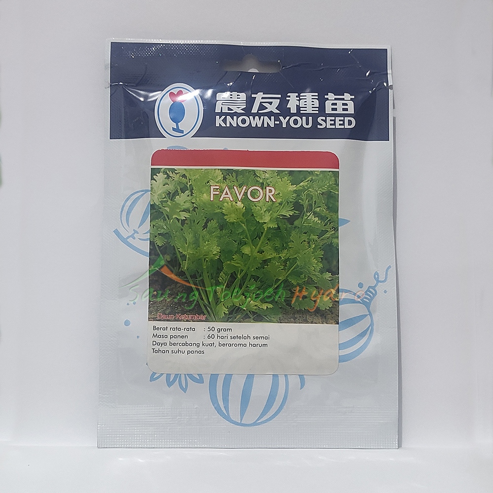 Benih Coriander Favor benih daun ketumbar known you seed kys