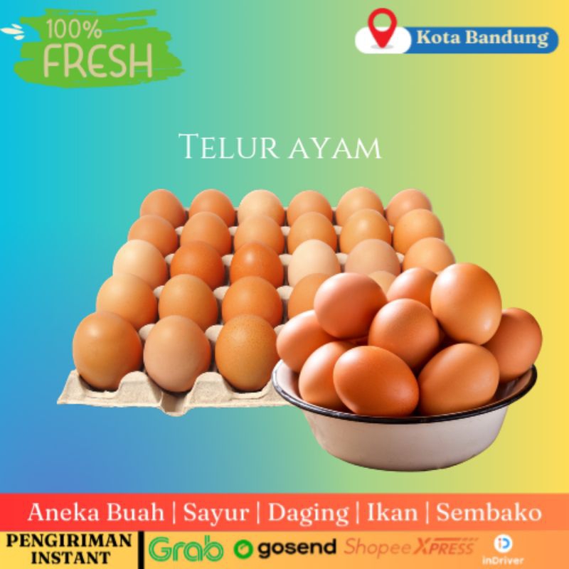 

Telur Ayam Negeri