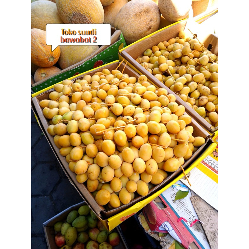

KURMA MUDA PROMIL