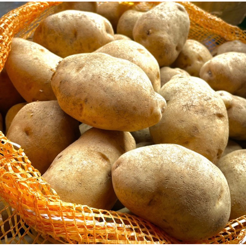 

kentang / kentang dieng / kentang untuk mustofa / kentang