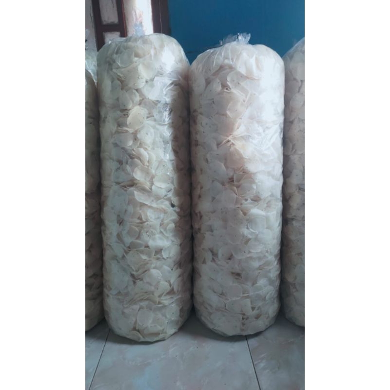 

Opak koin chas Tempurejo Kalibawang Wonosobo