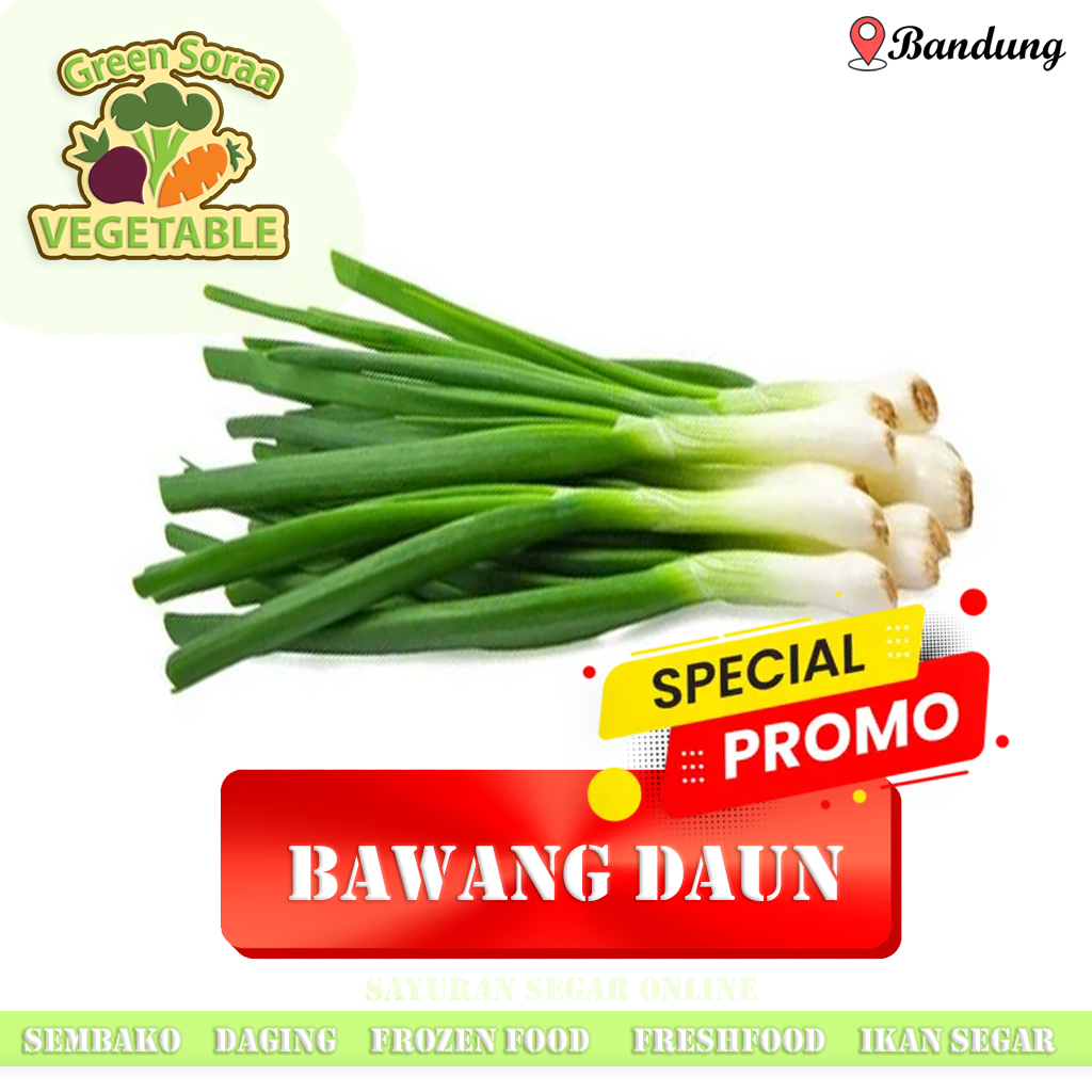 

SAYURAN INSTANT Bawang Daun 1 Ikat Fresh