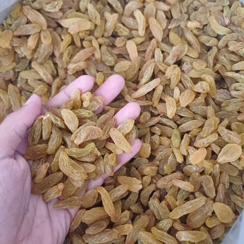 

kismis manis jumbo greenlong raisins 1kg premium quality