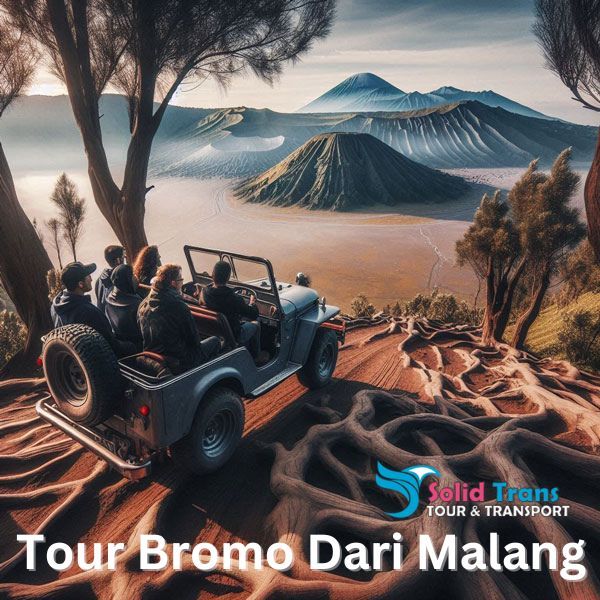 Paket Tour wisata Bromo Sunrise
