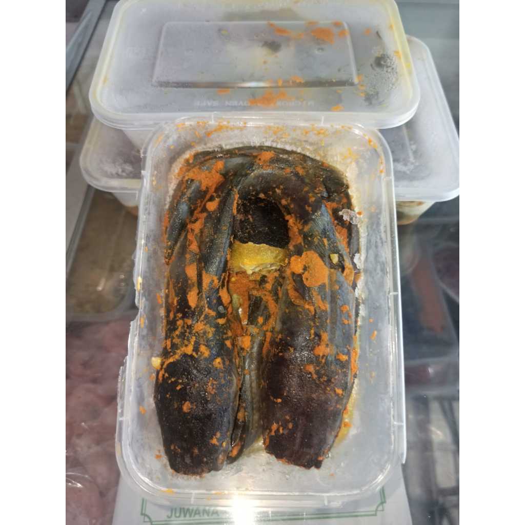 

Ikan Lele Marinasi/Box isi 5 ekor | Ikan Lele Dibumbui Siap masak