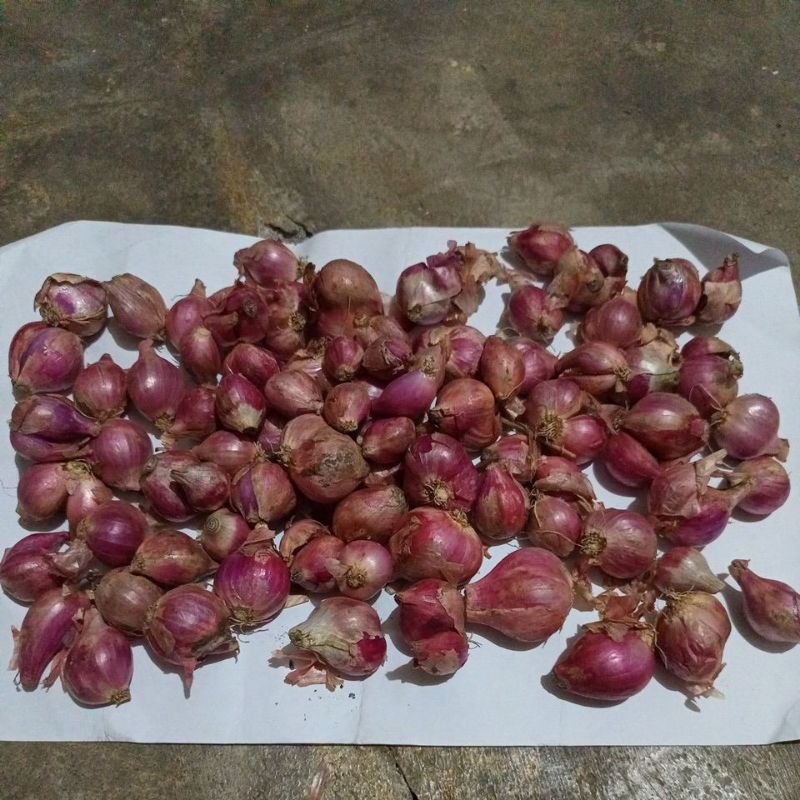 

Bawang merah brambang lokal Cepu 1kg