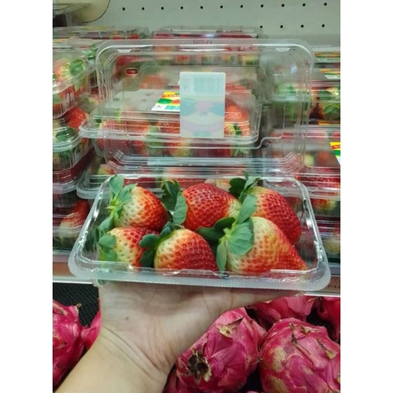 

strawberry import Australia 1 pack 250 gram / strawberry Australia 1 pack 250 gram
