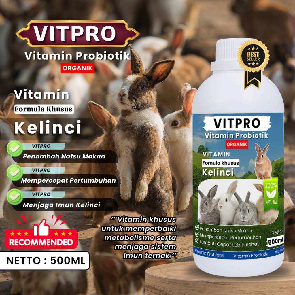 VITPRO Vitamin Probiotik Vitamin Suplemen Kelinci Hias Anggora Fuzzy Lop Holland Netherland Dwarf Ke