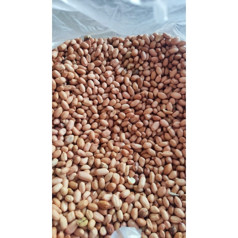 

Kacang Tanah Mentah 1Kg Best Seller