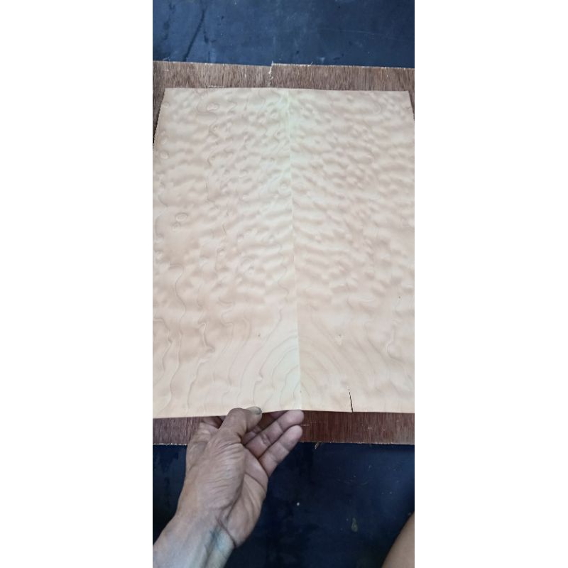 veneer maple /flame maple/quilted maple/exotic maple