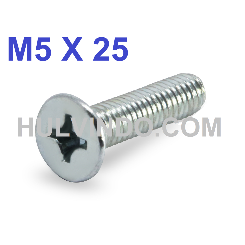 BAUT JF FLAT HEAD M5 X 25