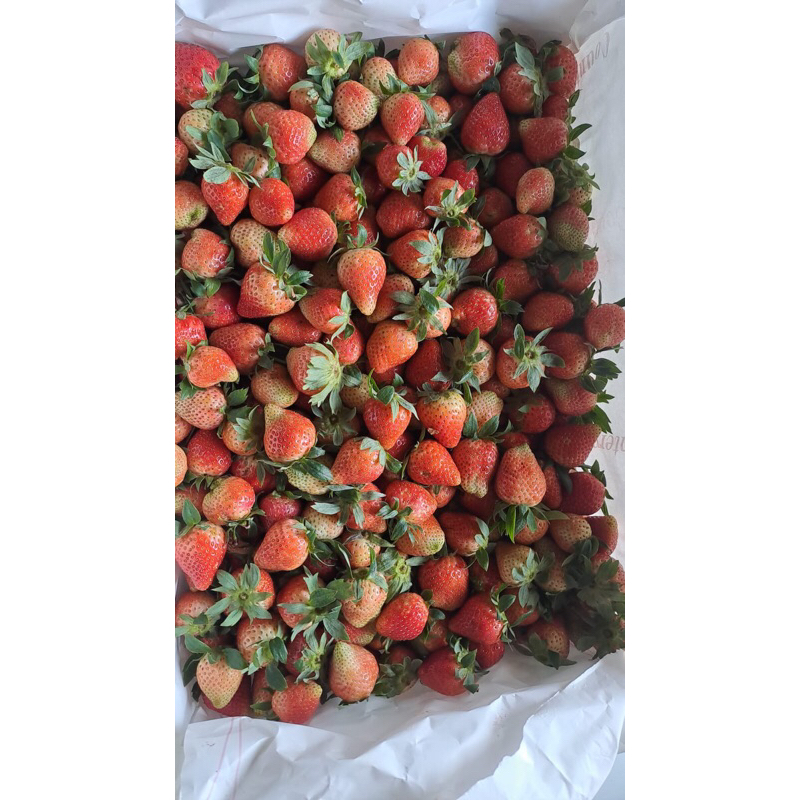 

strawberry co 1kg