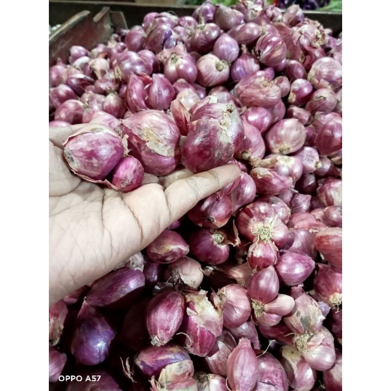 

Bawang merah super