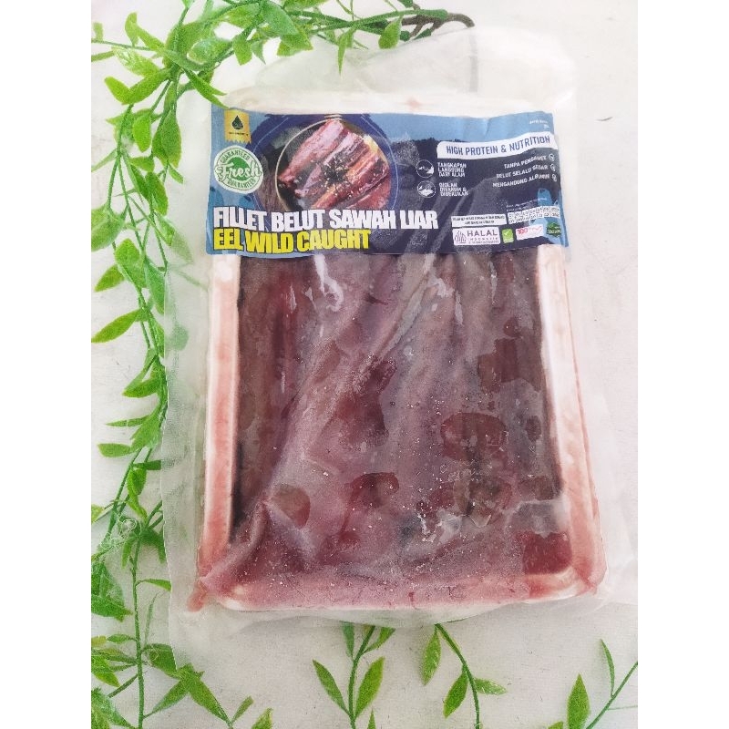 

Filet Belut Sawah Liar 250 grm