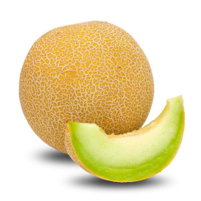 

1 BUAH MELON MADU MANIS JUAL MELON SEGAR MALANG GRATIS ONGKIR