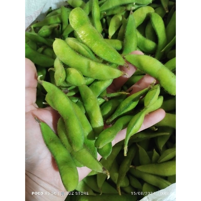 

Kacang Edamame