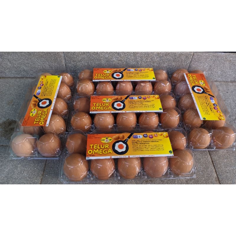 

telur omega 3