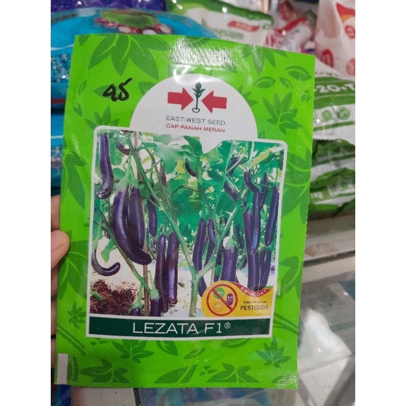 BENIH LEZATA TERONG UNGU PANJANG CAP PANAH MERAH