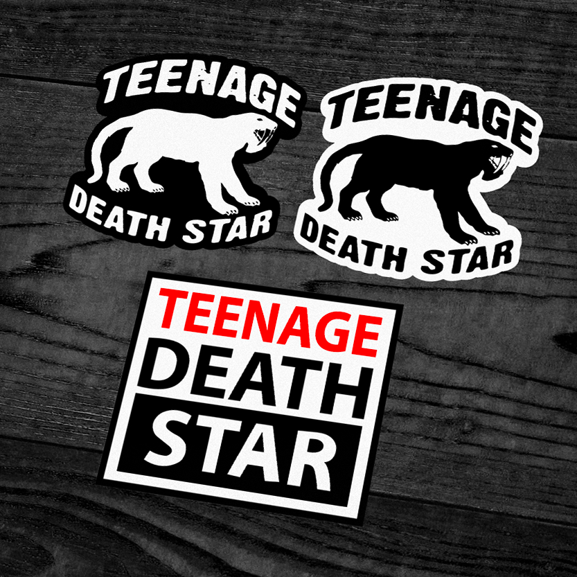 

Sticker Teenage Death Star (BOOTLEG)