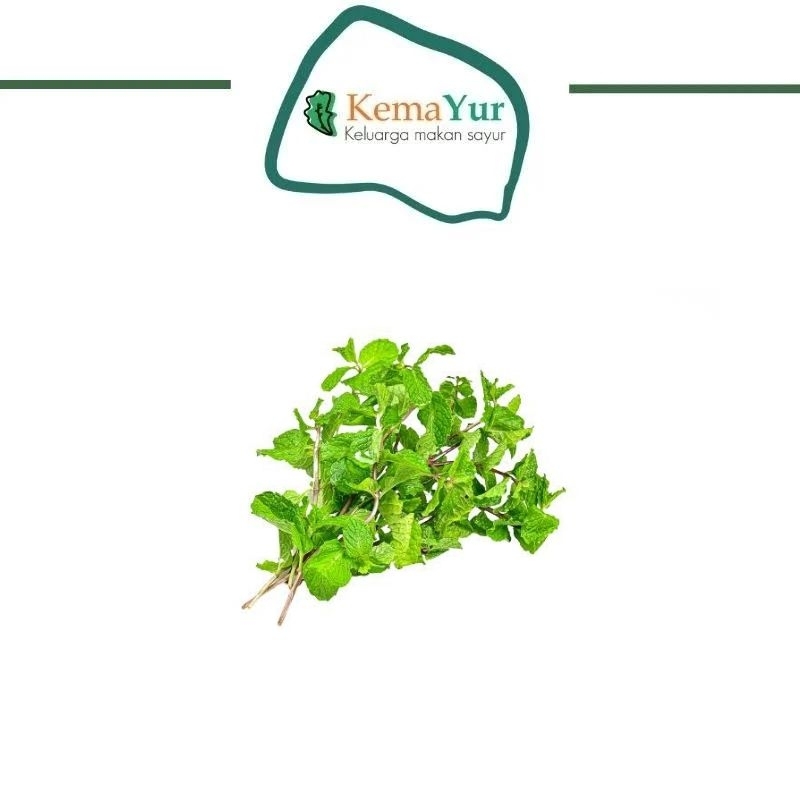 

Daun Mint 500 GR