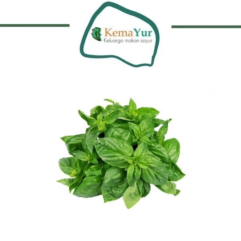 

BASIL 500 GR