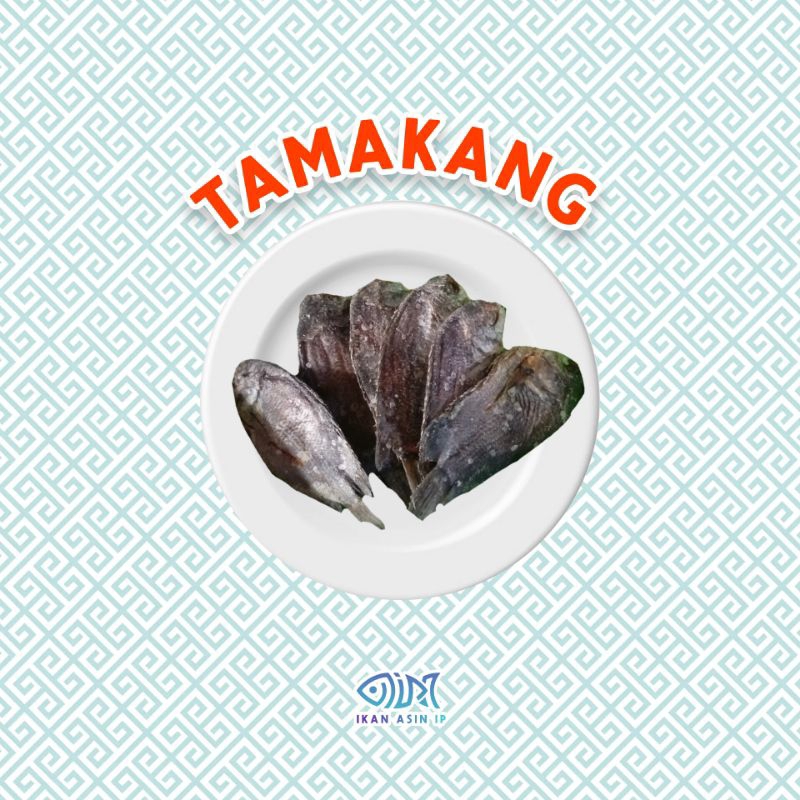 

IKAN ASIN TAMAKANG TARMAKANG