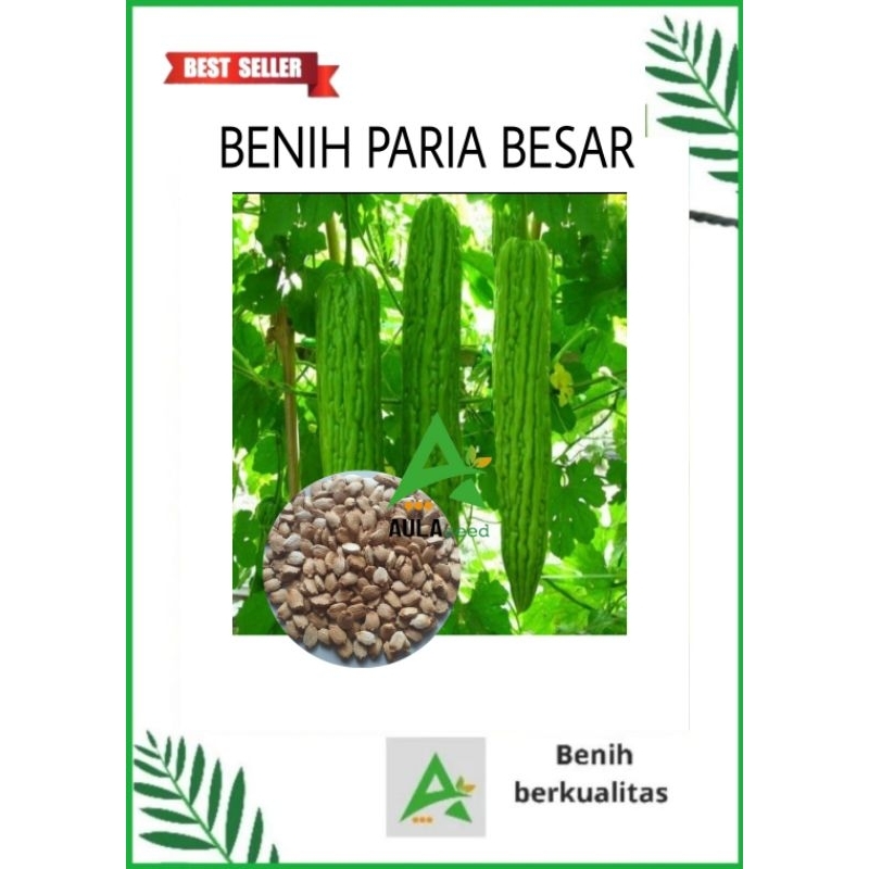 BENIH PARE BESAR PAKET COMBO 1000 BUTIR