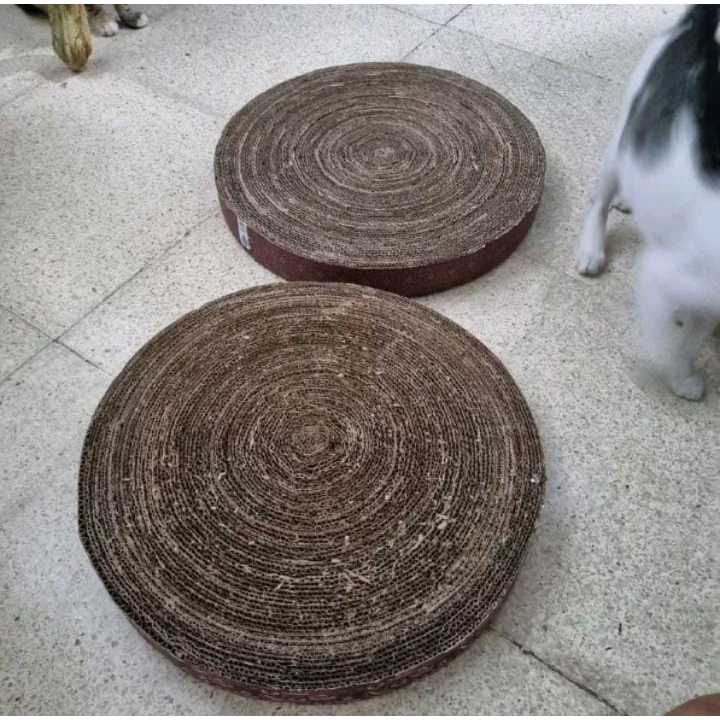 Cakaran Kucing/ Garukan Kucing Bulat