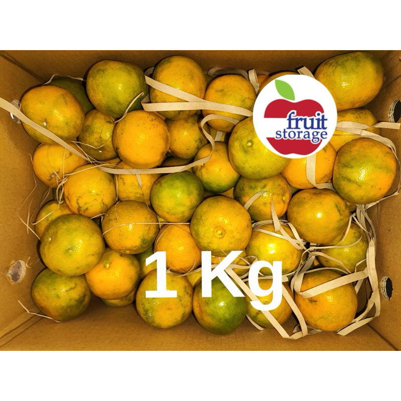 

Buah jeruk Siam Madu fresh segar manis