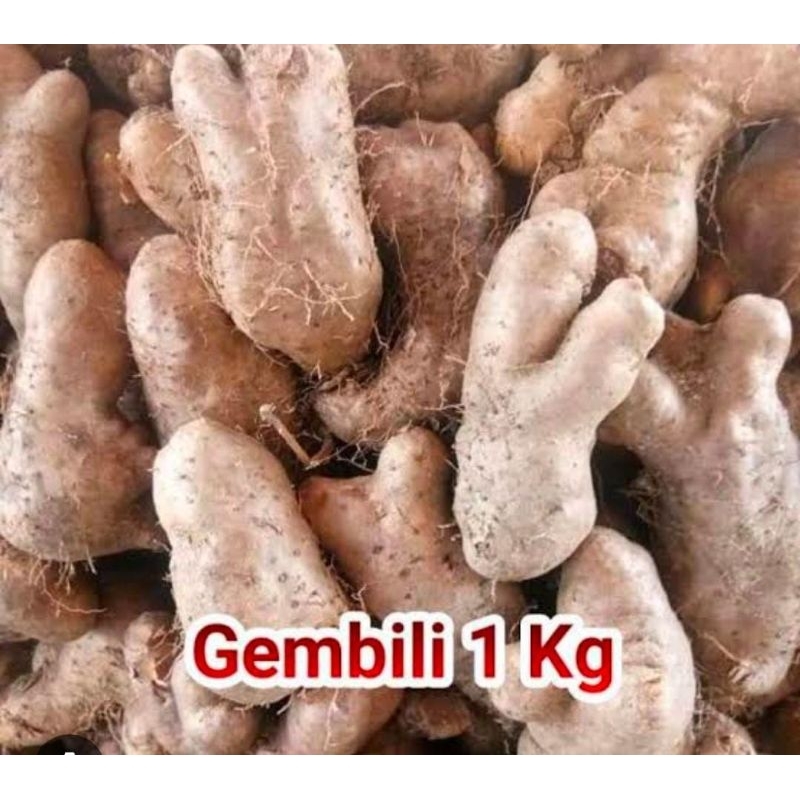 

Gembili Segar 1 Kg Pulen Obat Herbal Tradisional Termurah