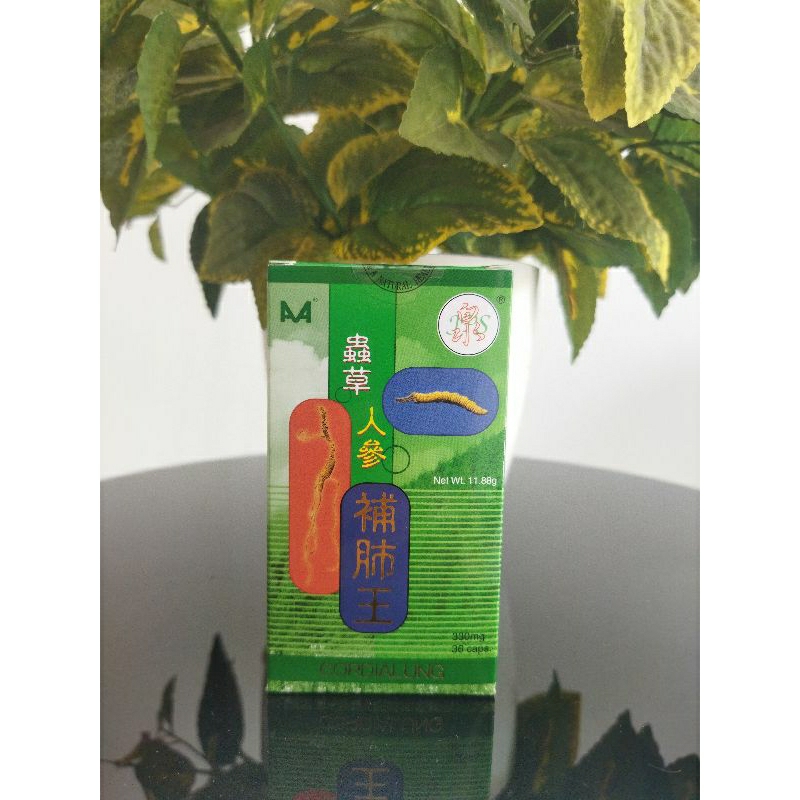 cordialung obat paru paru basah