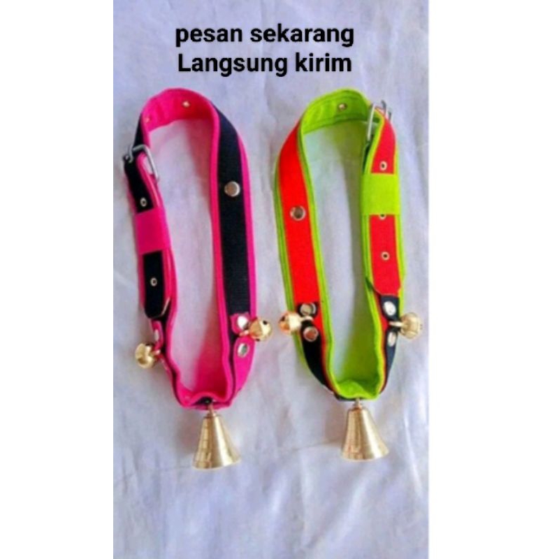 KALUNG KAMBING TANPA TALI