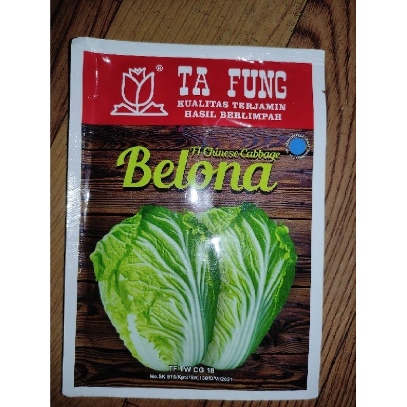 Benih Sawi Putih Hibrida Belona F1 Chinese Cabbage Ta Fung