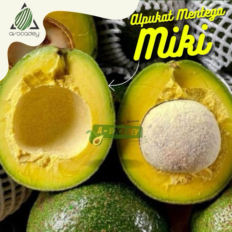 

ALPUKAT MIKI Premium 1 kg isi 4