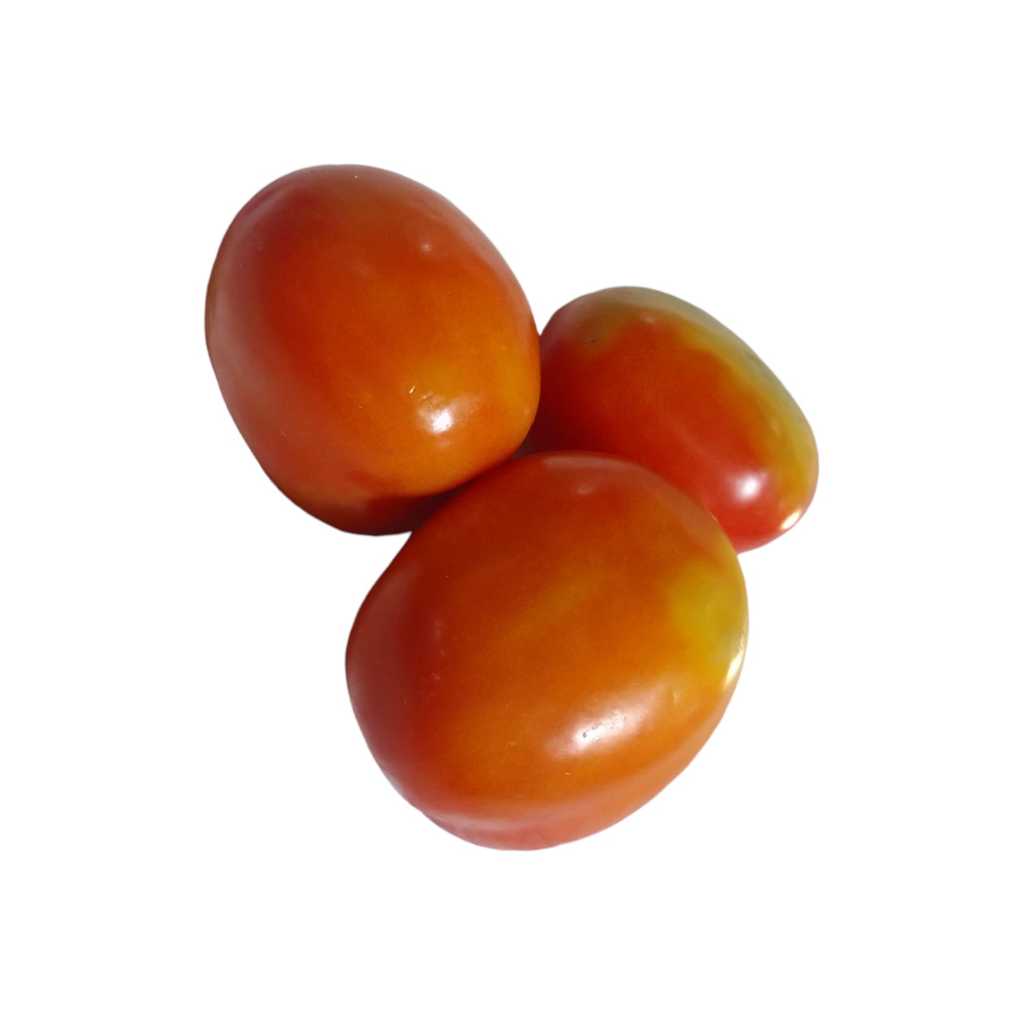 

Tomat Gede
