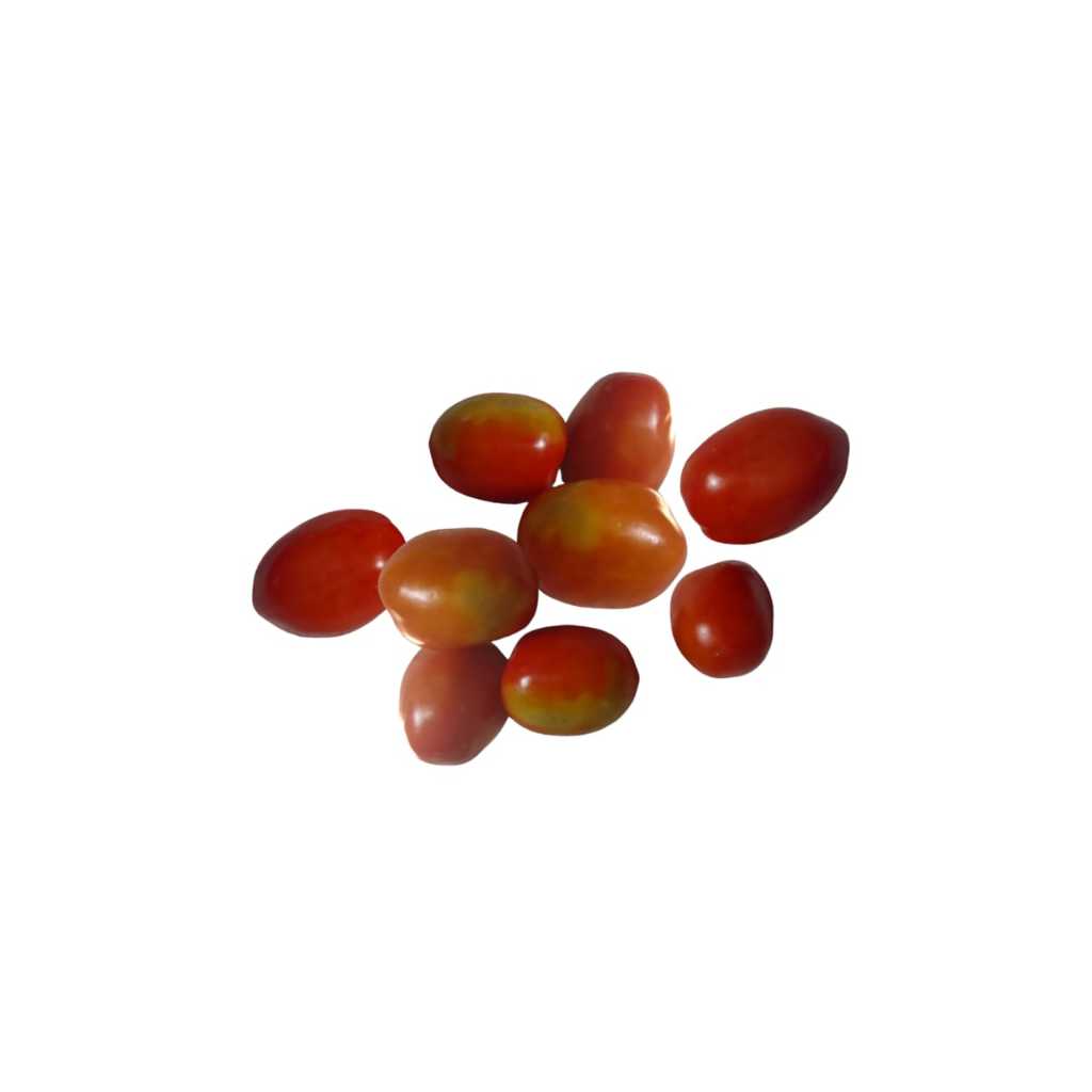 

Tomat Kecil