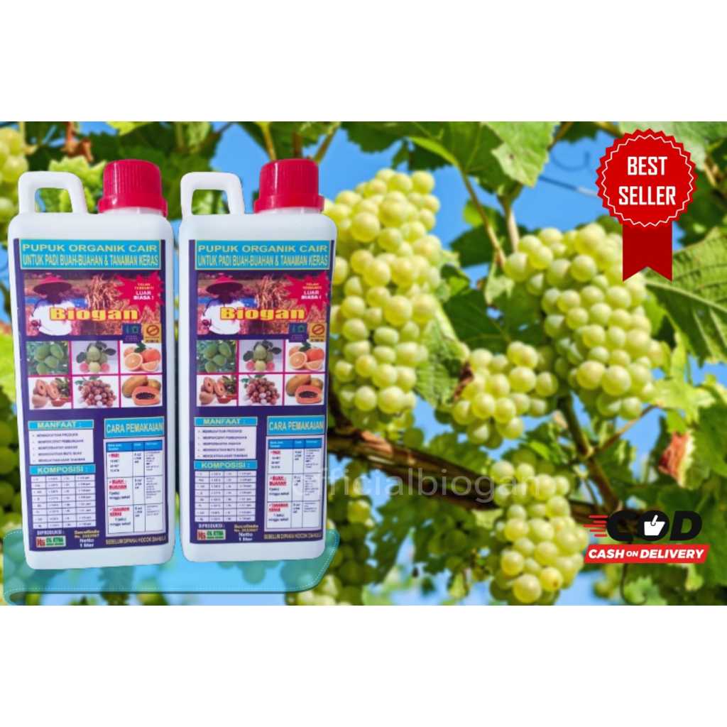 PUPUK ORGANIK CAIR (POC) PUPUK POC BIOGAN UNTUK BUAH MANGGA, KLENGKENG JERUK