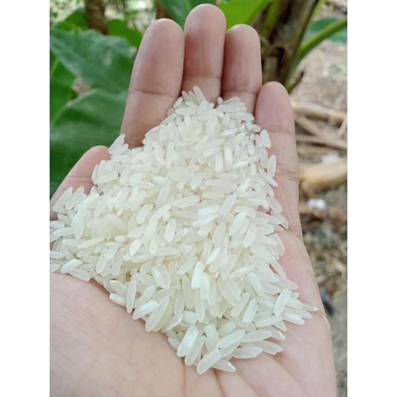 

beras 25 kg