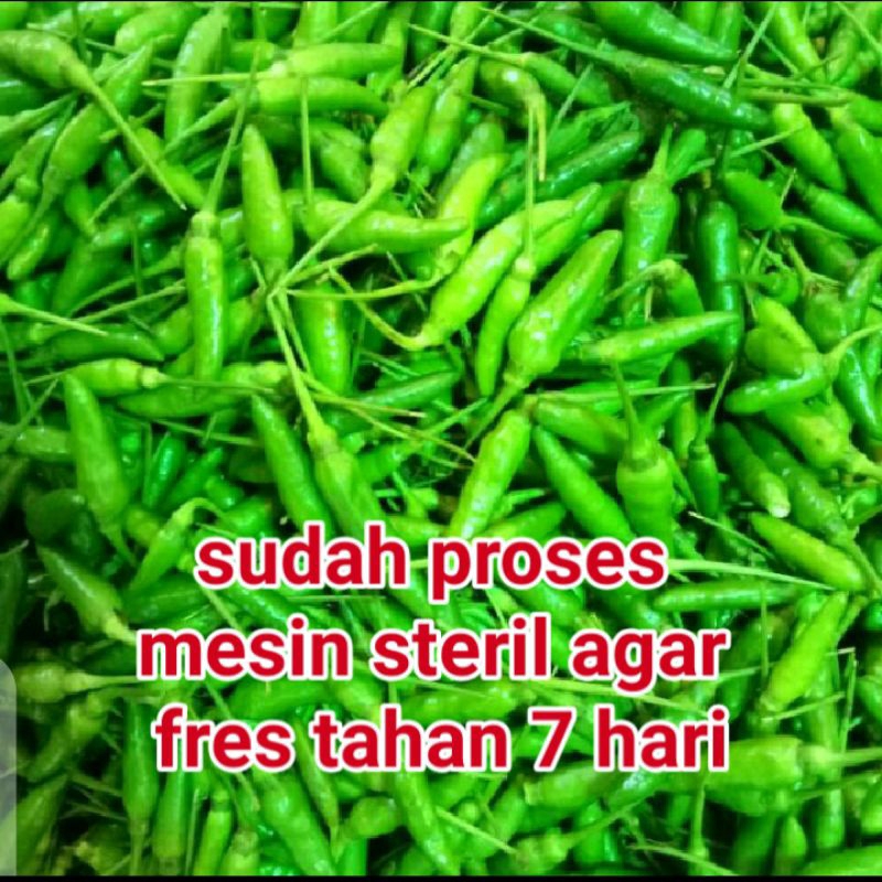 

cabai rawit hijau 100 g