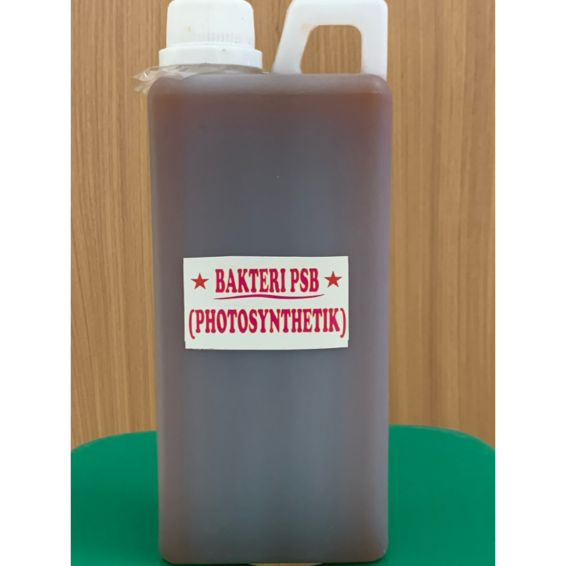 INDUKAN PSB BAKTERI FOTOSINTESIS