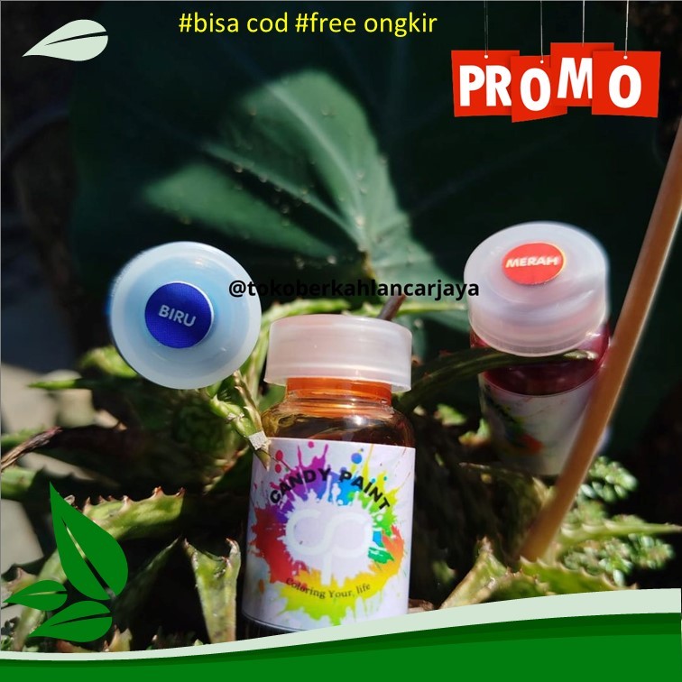 

(OLES) 12,5 ML Cat Acrylic / cat akrilik 12,5 ml warna berkualitas