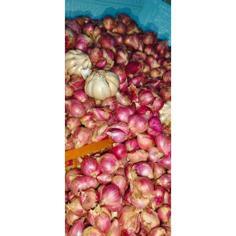 

bawang merah brebes fresh super