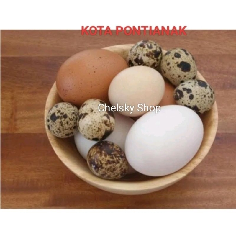 

Produk Telur Pontianak
