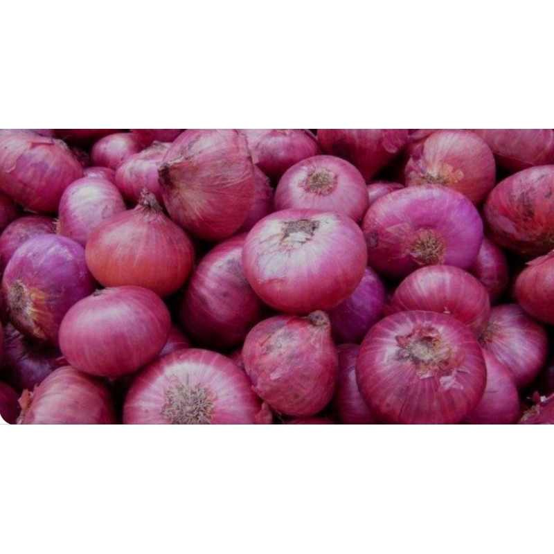 

Bawang Merah Brebes Segar 250g