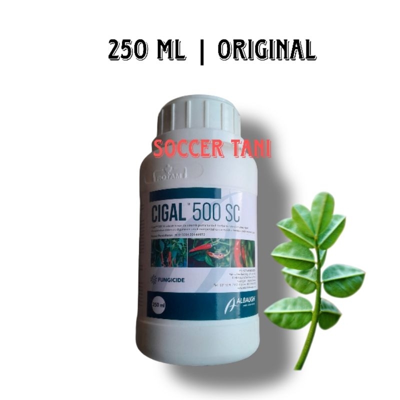 Fungisida Cigal 500 Sc ukuran 250ml