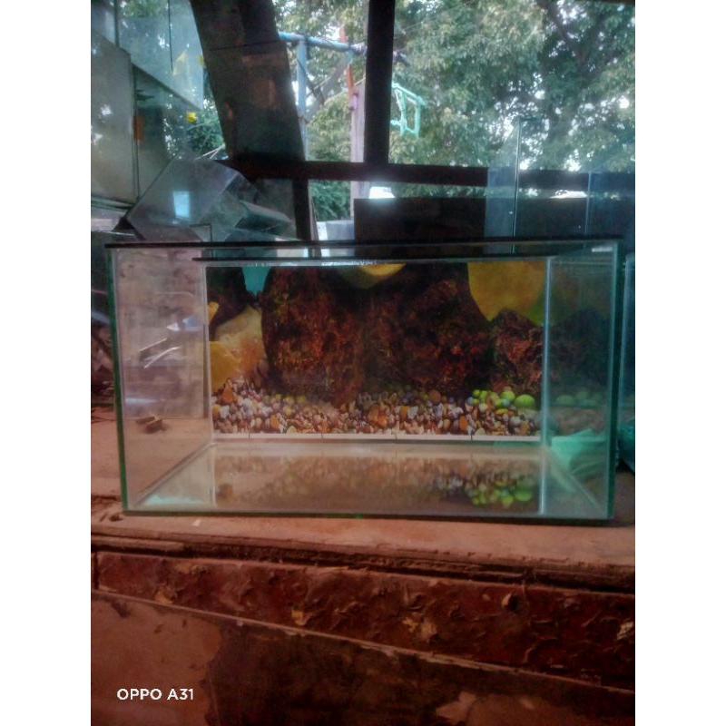 Aquarium45x25x25