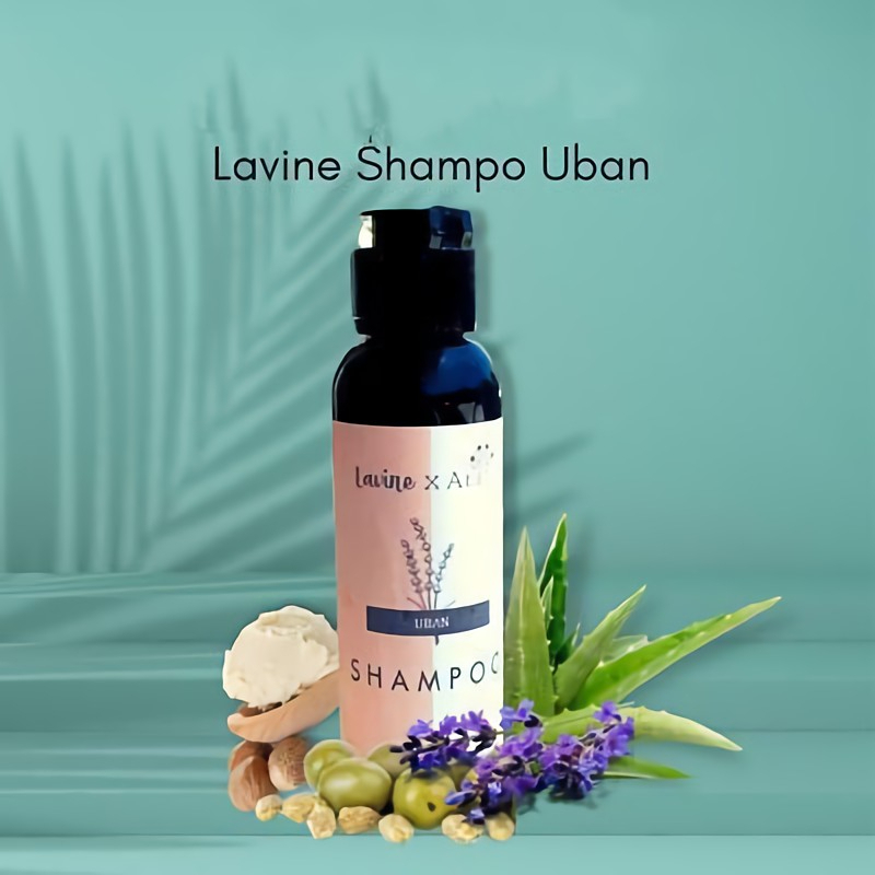 LAVINE SHAMPO UBAN HERBAL AMPUH MENGHITAMKAN UBAN