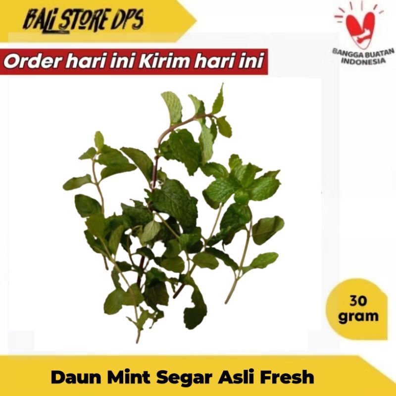 

DAUN MINT SEGAR 30 GRAM FRESH ASLI DENPASAR BALI