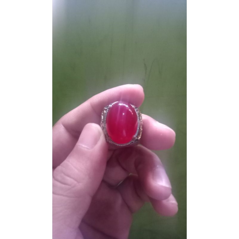 batu akik merah rubah Banyuwangi