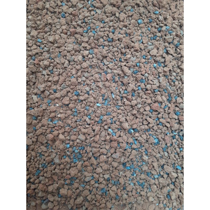 asinan burung derkuku dll